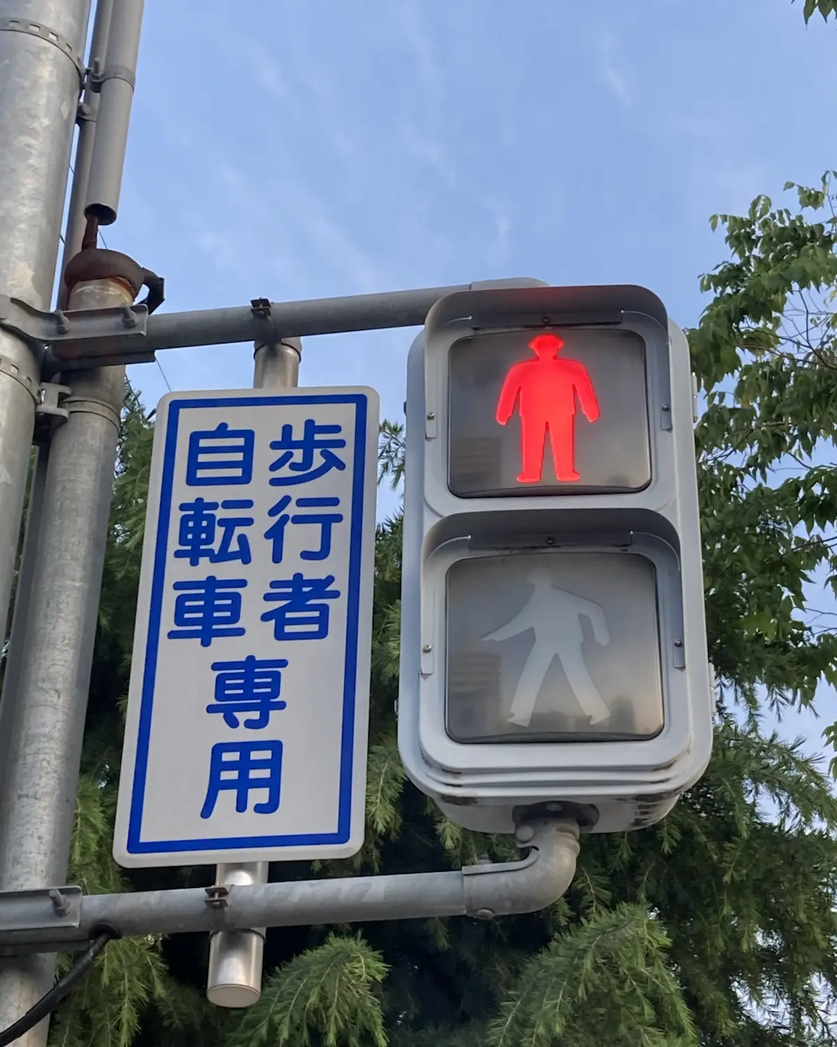 歩行者自転車専用信号